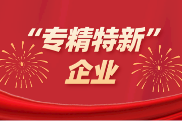 喜訊！遠望信息入選浙江省“專(zhuān)精特新”企業(yè)名單